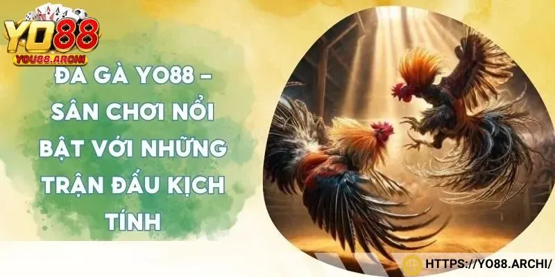Sảnh đá gà hấp dẫn và lôi cuốn